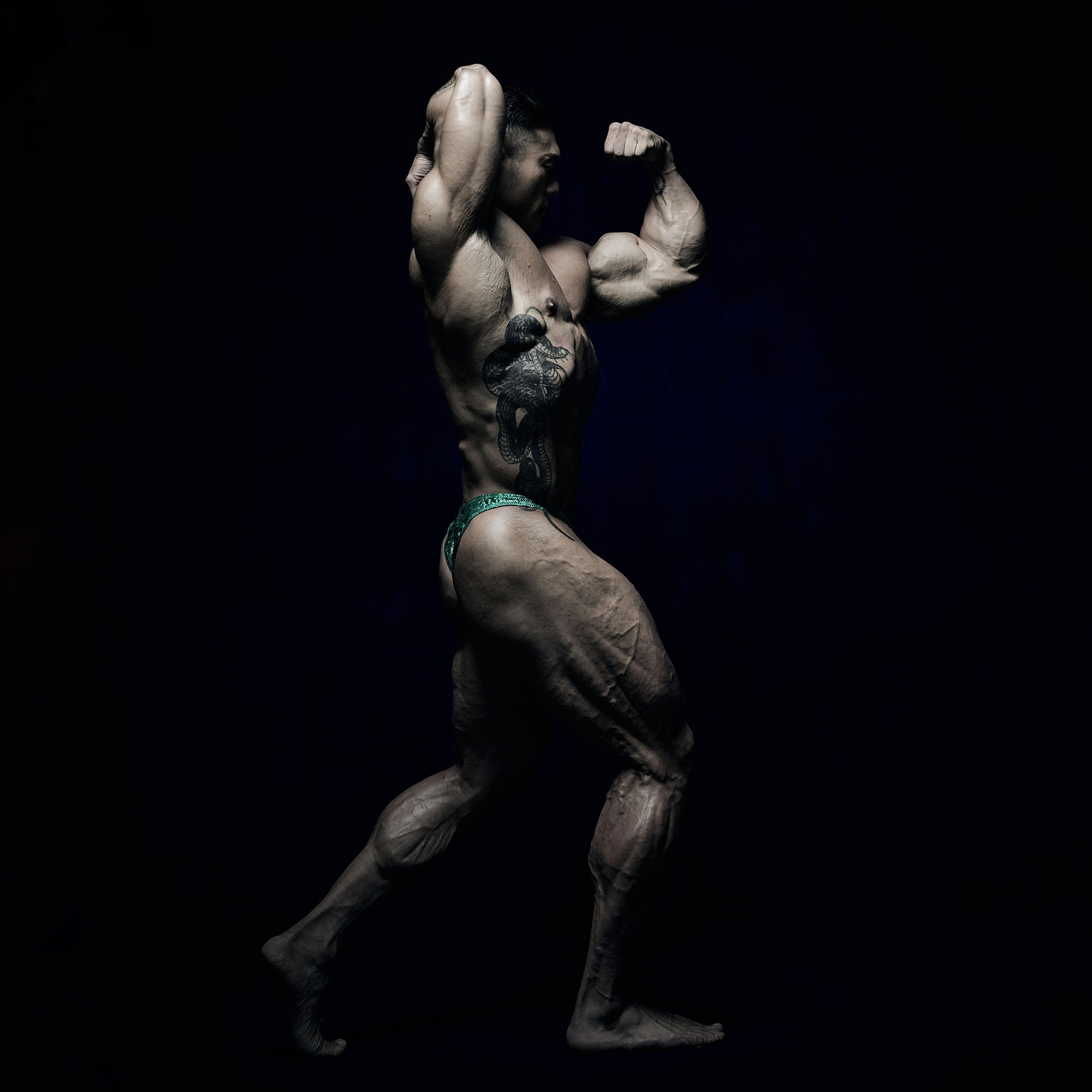 BODYBUILDING - Fied World