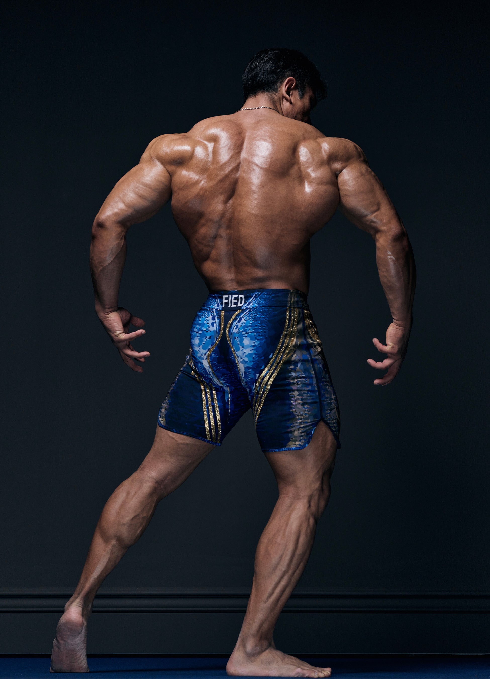 Warrior Deep Blue - Fied World