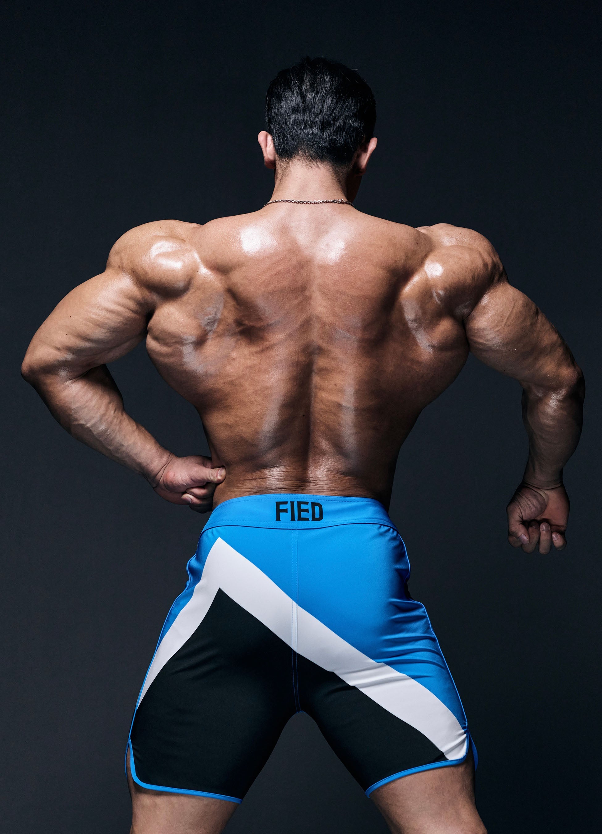 Mountain Blue - Fied World