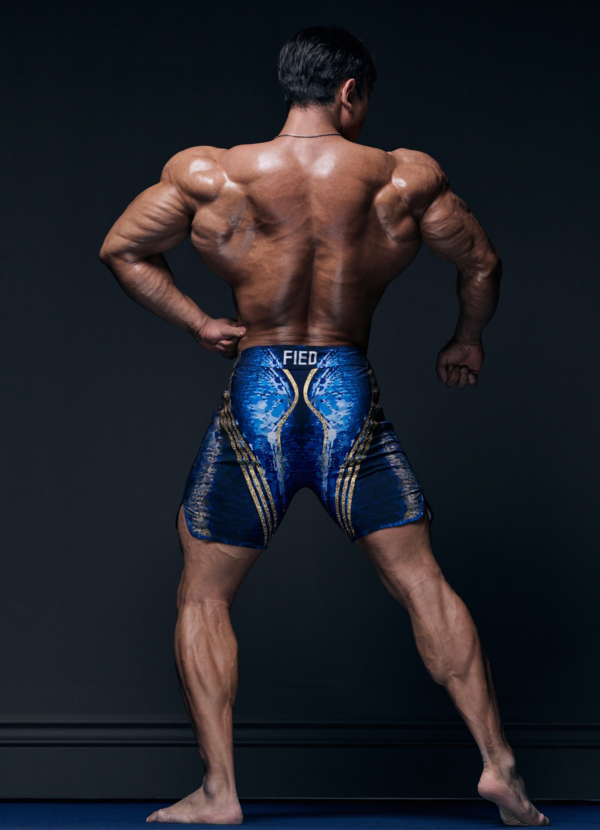 Warrior Deep Blue - Fied World